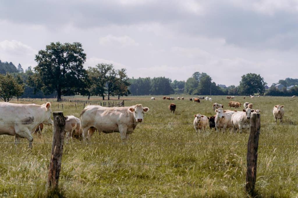 Rustig Gelegen Gite Nabij Houffalize Exteriér fotografie